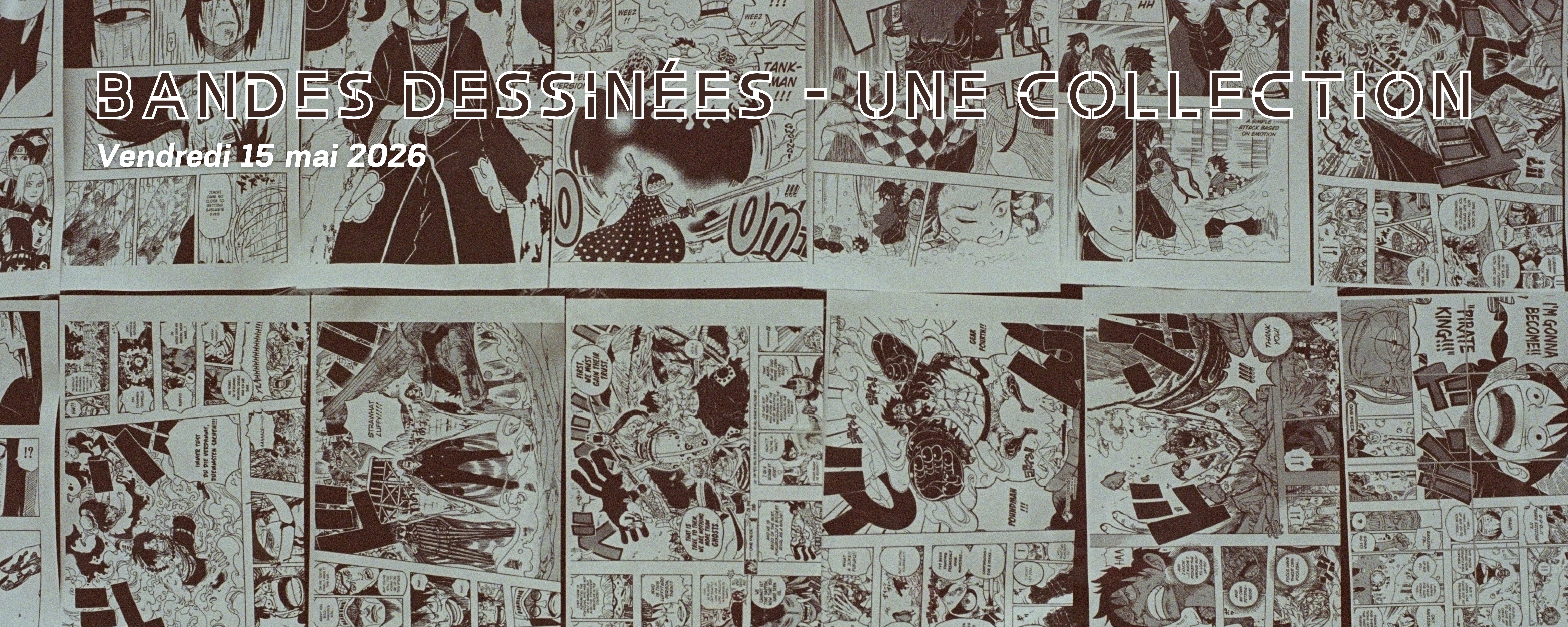 BANDES DESSINNÉES